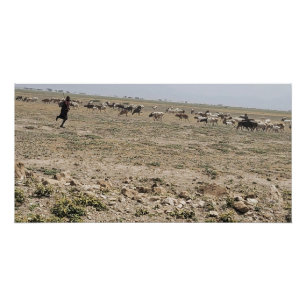 Pôster Correndo o Serengeti