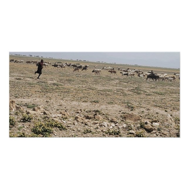 Pôster Correndo o Serengeti (Frente)