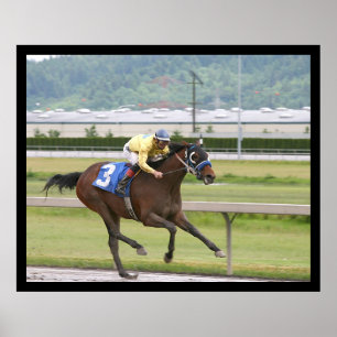 Pôster Corrida de cavalos