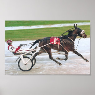 Pôster corrida de cavalos