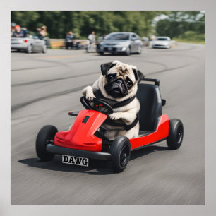 Poster Corrida Pug go-kart