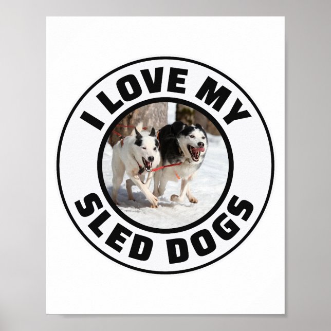 Poster Corridas de cães-de-cabeça-chata com rouco (Frente)