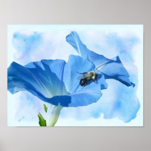 Poster Corriola azul e zangão