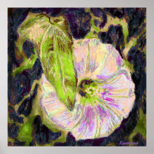 Pôster Corriola selvagem pelo cozinheiro de Alexandra