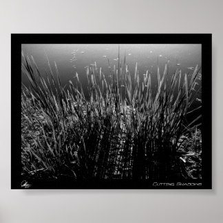 Pôster Cortando Sombras