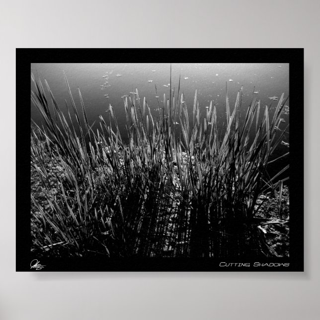 Pôster Cortando Sombras (Frente)