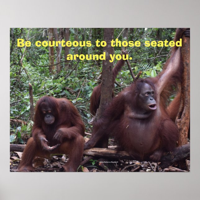 Poster Cortesia na sala de aula (Frente)