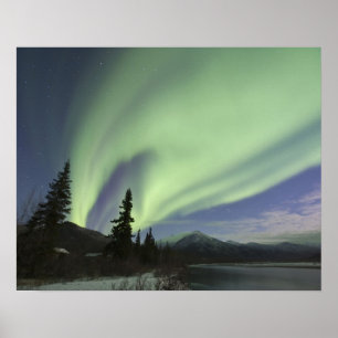 Poster Cortinas de aurora boreal verde no céu