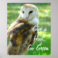 Coruja Dar Um Hoot
