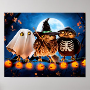 Poster Coruja de Halloween