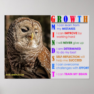 Poster Coruja de Mindset de Crescimento