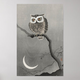 Poster Coruja-de-orelha-longa na ramificação de árvores (