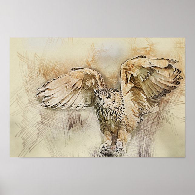 Pôster Coruja de Voo (Frente)