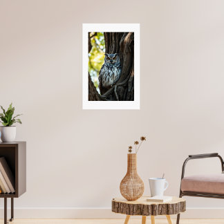 Poster Coruja descansando na árvore