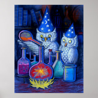 Pôster Coruja Feiticeiros Magic alchemy whimsical engraça
