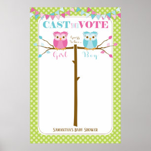 Poster Coruja Gênero Revela Jogo de Voto Chá de fraldas