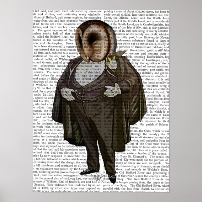 Pôster Coruja Na Ópera (Frente)