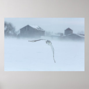 Poster Coruja nevado em vôo no inverno