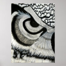 Coruja Olho (esquerda)