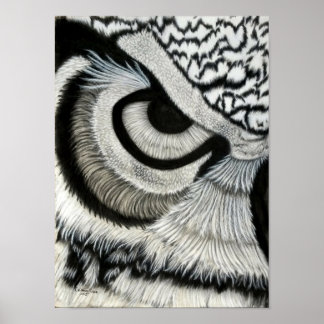 Poster Coruja Olho (esquerda)