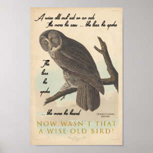 Poster Coruja velha sábia