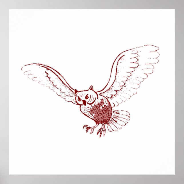 Poster Coruja Voando (Frente)