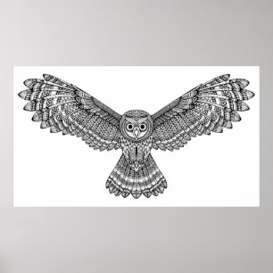 Poster Coruja Zendoodle 2 do vôo