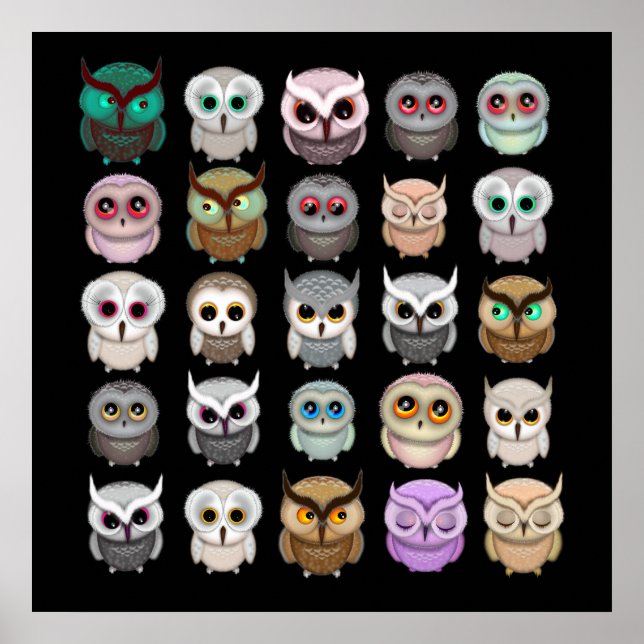 Poster Corujas Bonitas Ilustram Arte Divertida (Frente)