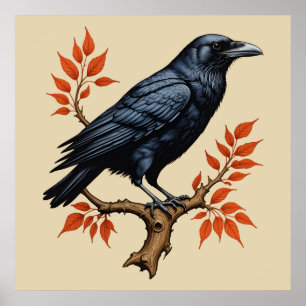 Poster Corvo