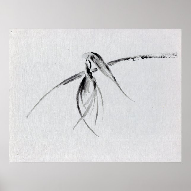 Poster Corvo (Frente)