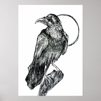Poster Corvo Amigável