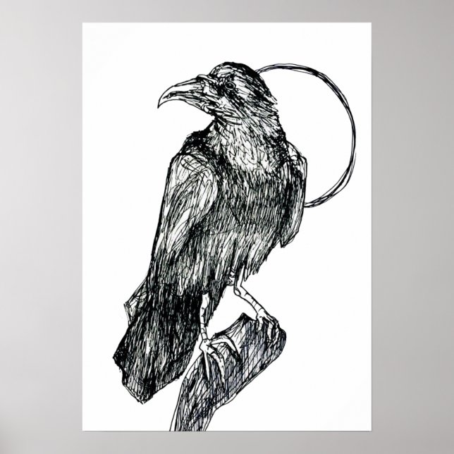 Poster Corvo Amigável (Frente)