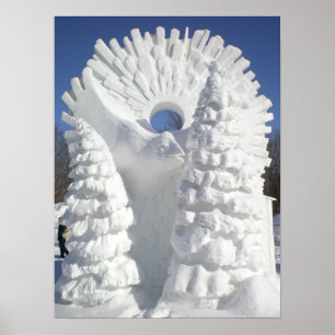 Pôster Corvo da neve