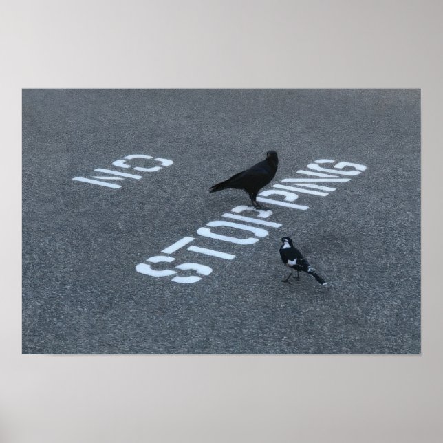 Poster Corvo e Pega (Frente)