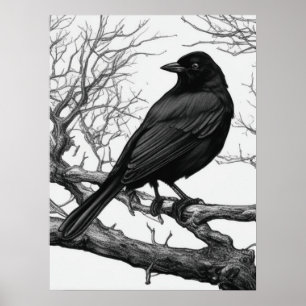 Poster Corvo Empoleirado em Galhos de Inverno nus