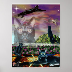 Poster Cosmos