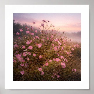 Poster Cosmos at Quiet Dawn – Soft Morning Meadow