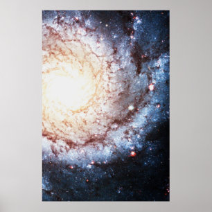 Poster Cosmos coloridos