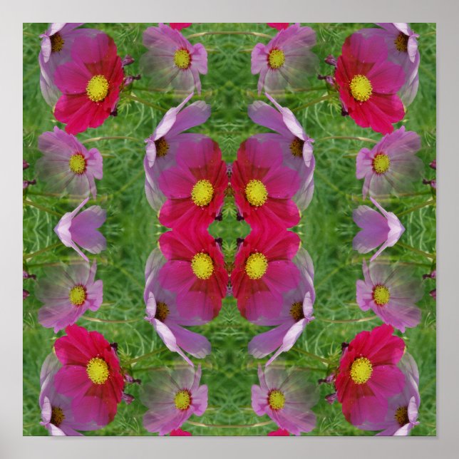 Poster Cosmos Flowers Abstrato Nature (Frente)