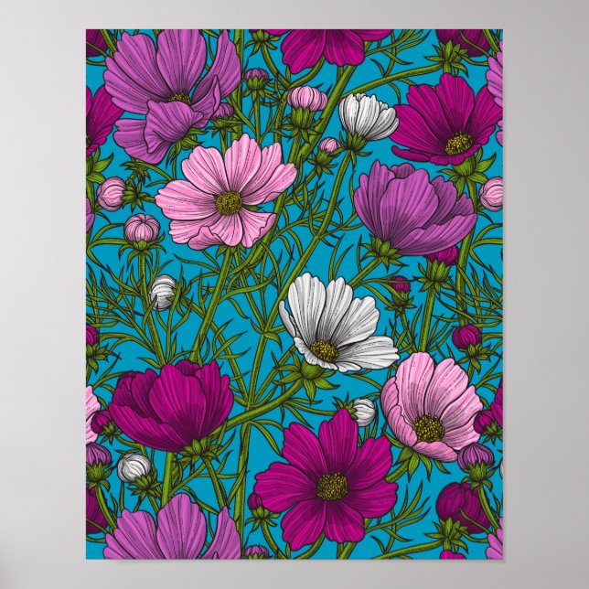 Poster Cosmos mix on blue (Frente)