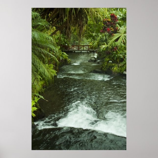 Pôster Cosra Rica Dream (Frente)