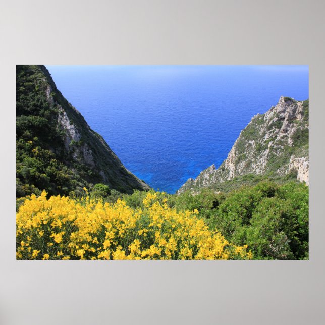 Poster Costa Colorida (Frente)