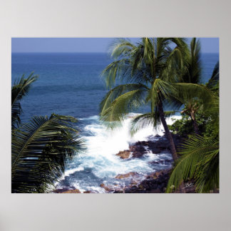 Poster Costa de Kona 2