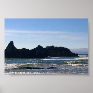 Poster Costa em Seal Rock OR