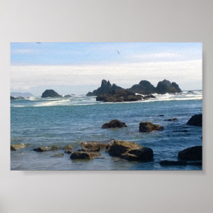 Poster Costa em Seal Rock OR
