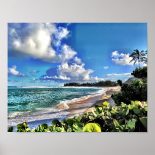 Poster Costa norte