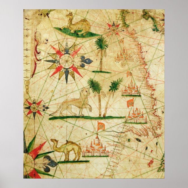 Poster Costa Norte de África (Frente)