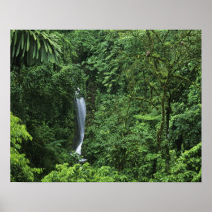 Poster Costa Rica, área do vulcão Arenal, Pontes Pendurad