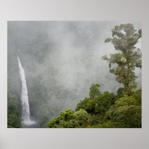 Poster Costa Rica, floresta em nuvens em montanhas perto 