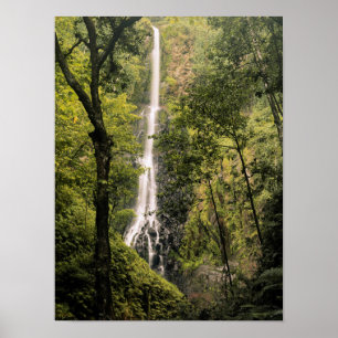 Poster Costa Rica, Ilha Cocos, Wafer Bay Waterfall